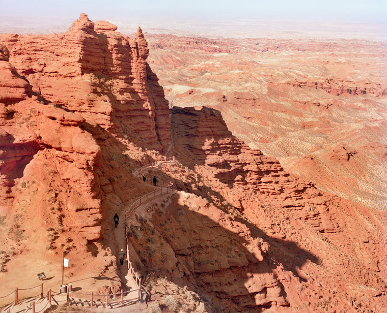 Universal Experience XX