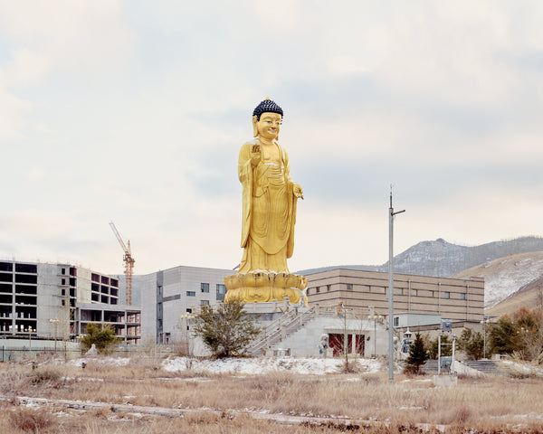 Universal Experience VII